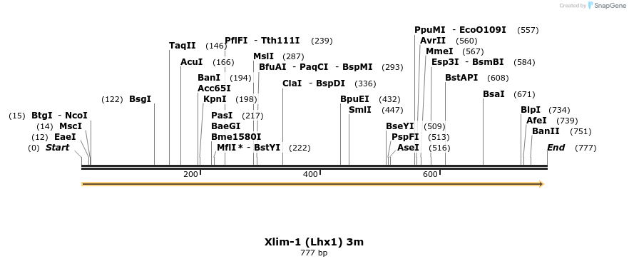 142086_map