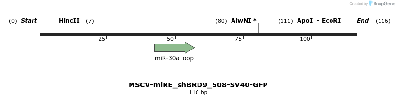 142087_map