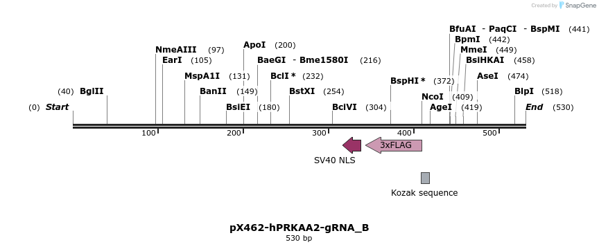 142088_map