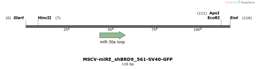 142089_map