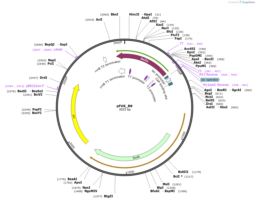 14209_map