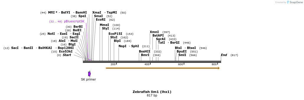 142090_map