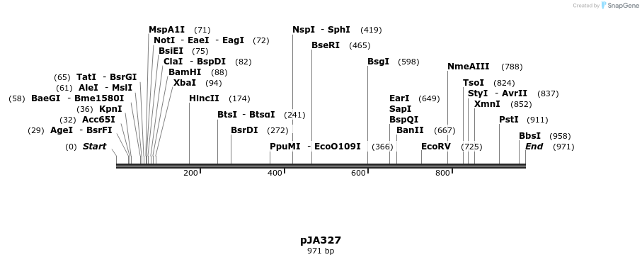 142093_map