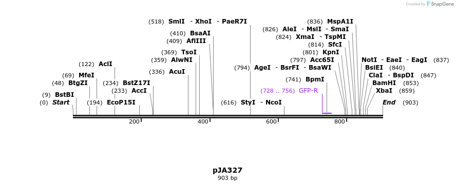 142094_map