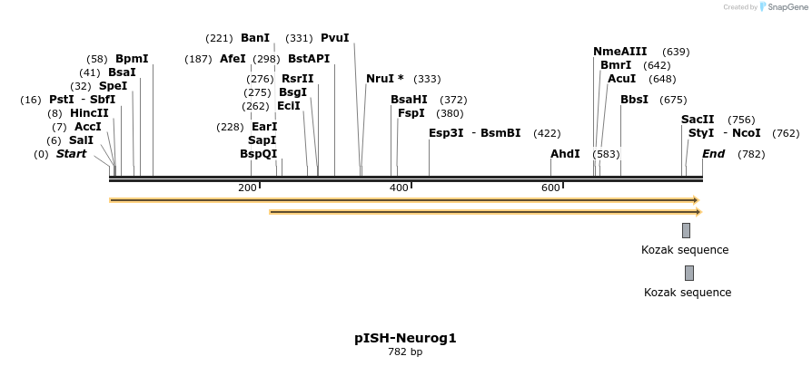 142095_map