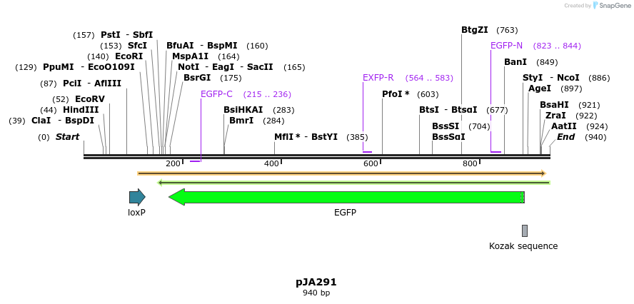142096_map