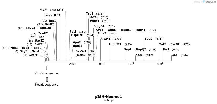 142097_map