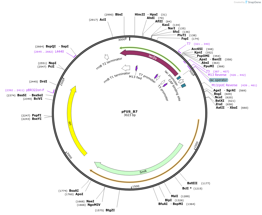14210_map