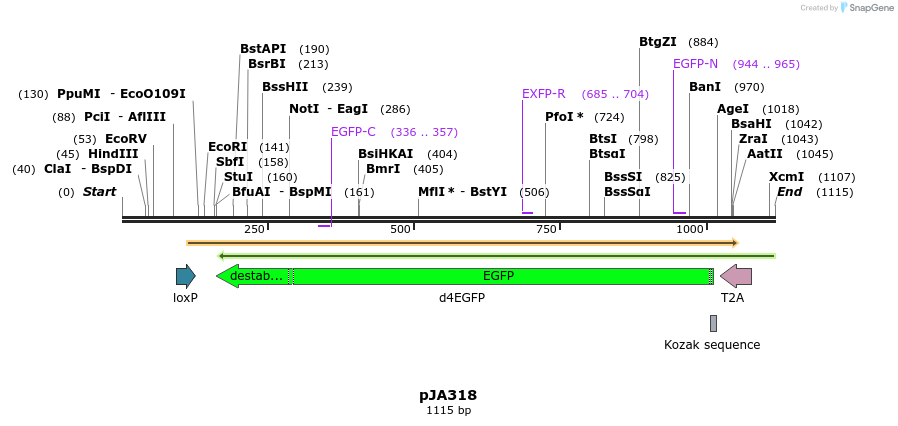 142100_map