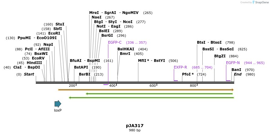 142101_map