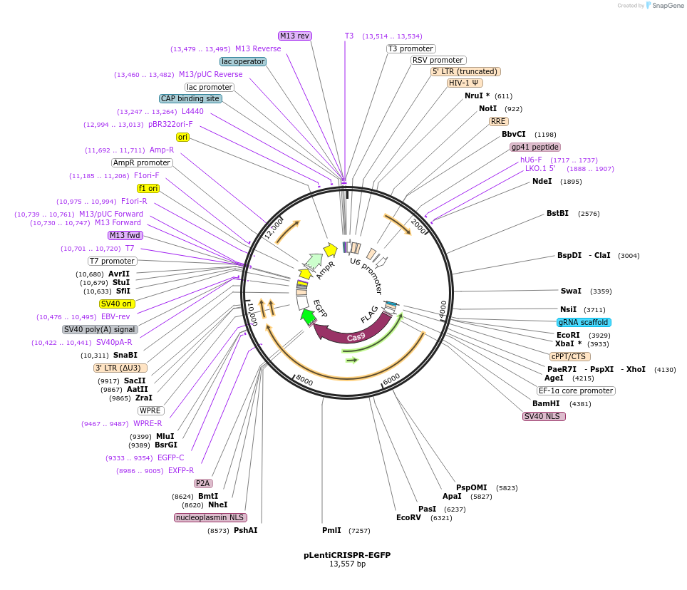 142112_map