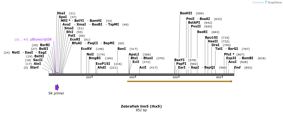 142125_map