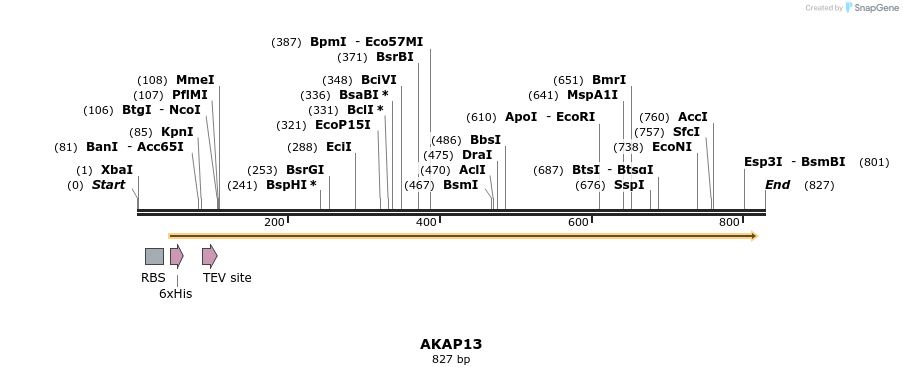 142126_map