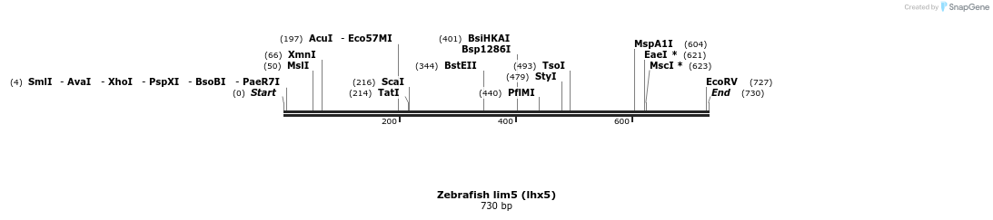 142127_map