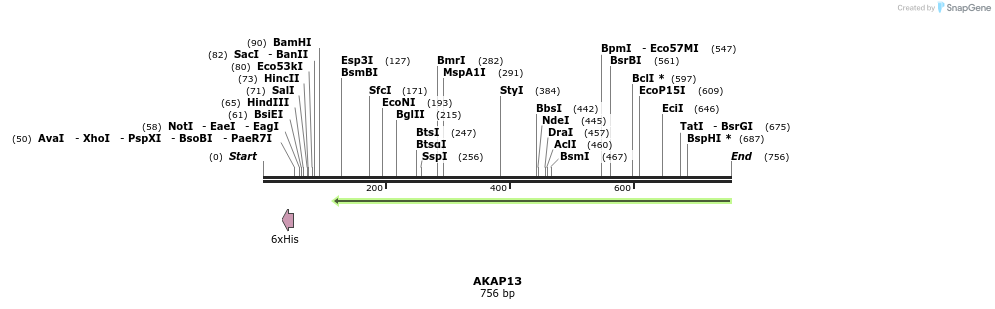 142128_map