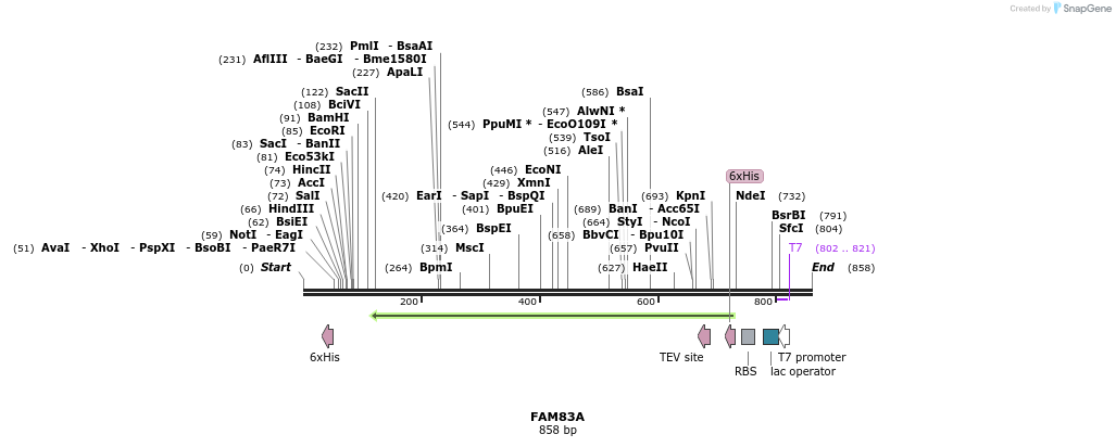 142130_map