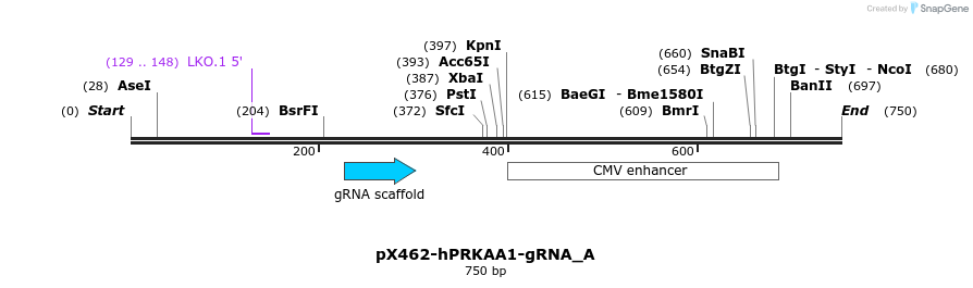 142134_map
