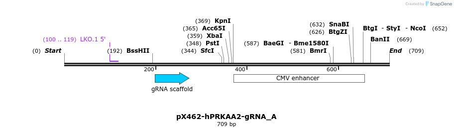 142135_map