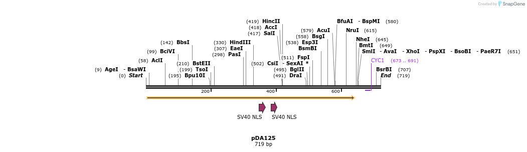 142136_map