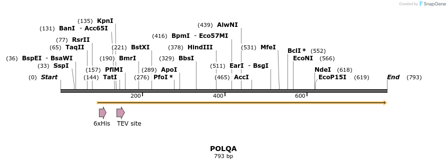 142137_map