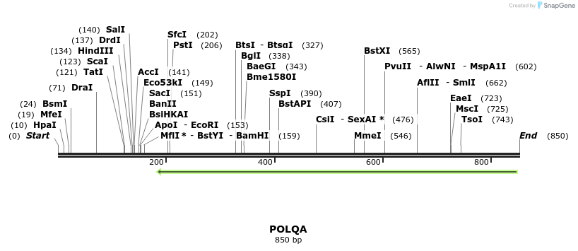 142138_map