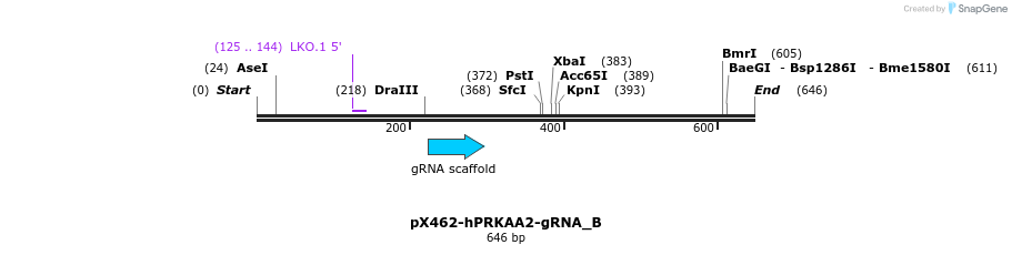 142139_map
