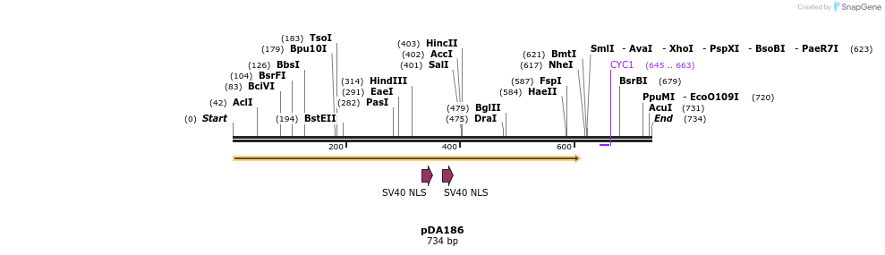 142140_map