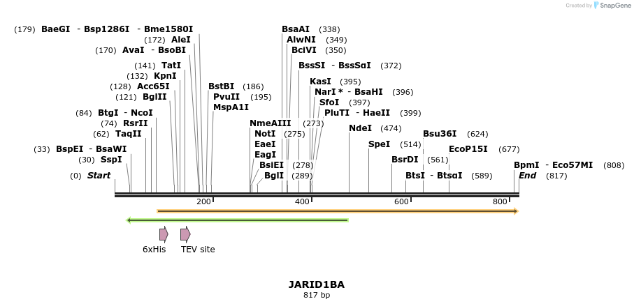 142141_map