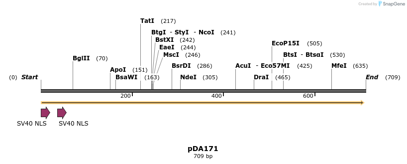 142142_map