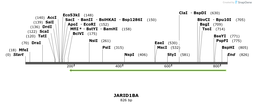 142143_map