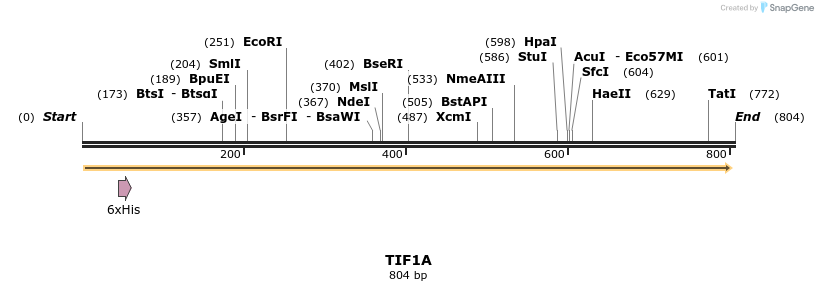 142144_map