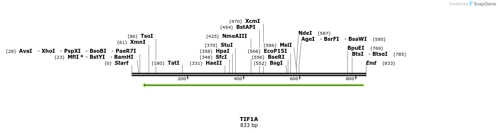 142145_map