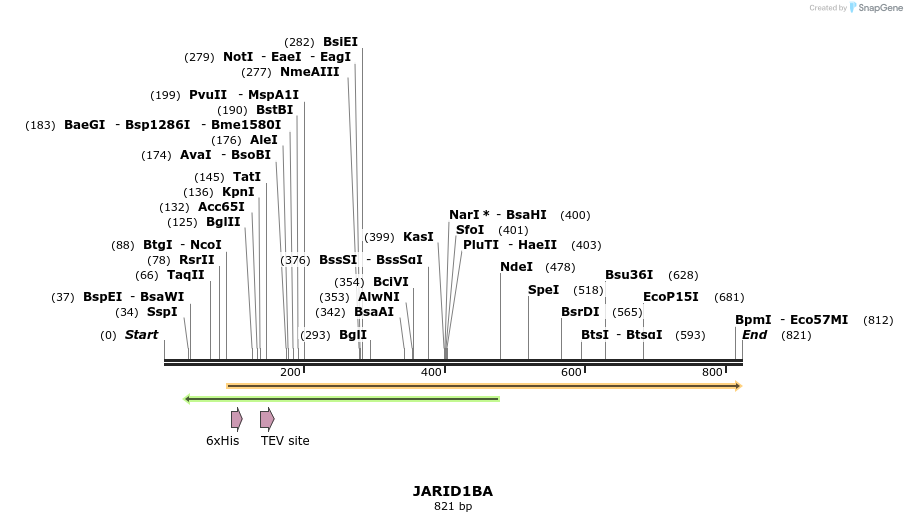 142146_map