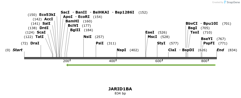 142147_map