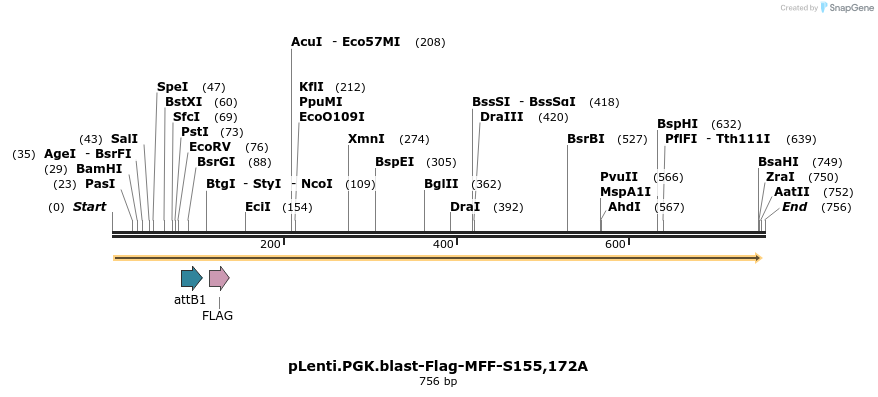 142151_map