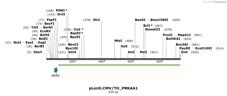 142152_map