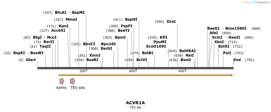 142153_map