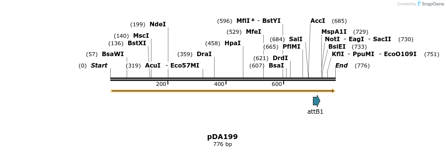 142154_map