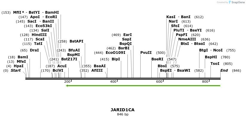 142161_map
