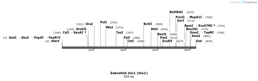 142162_map