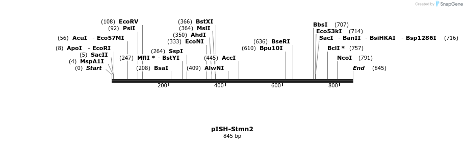 142165_map