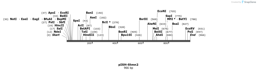 142166_map