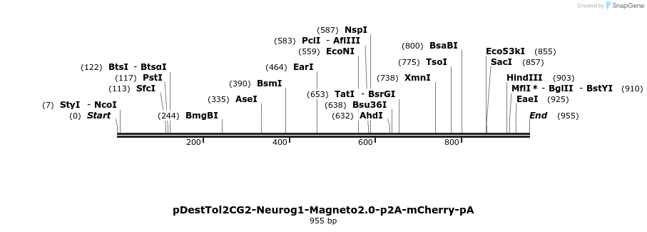 142167_map