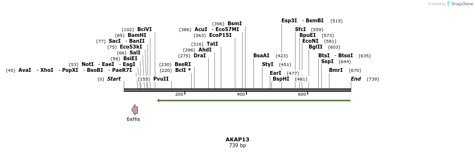 142172_map