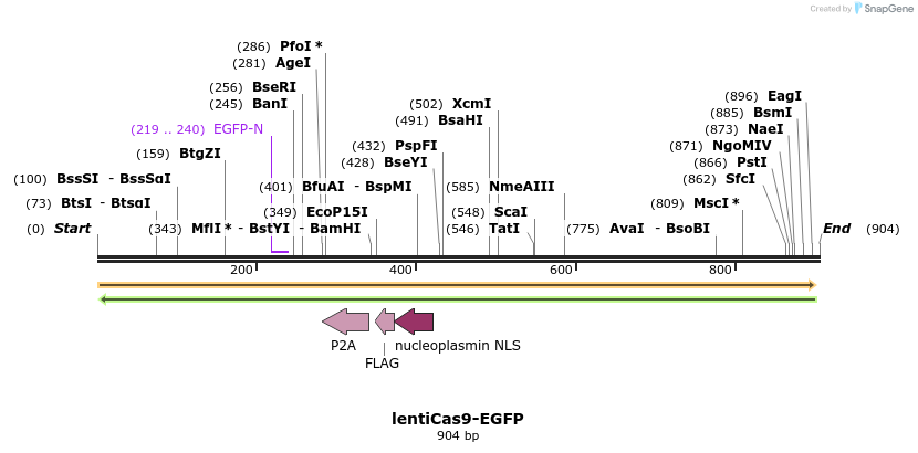 142173_map