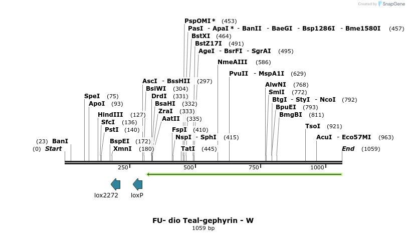 142177_map