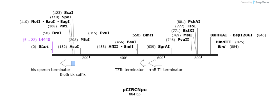 142181_map