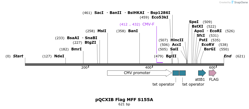 142189_map