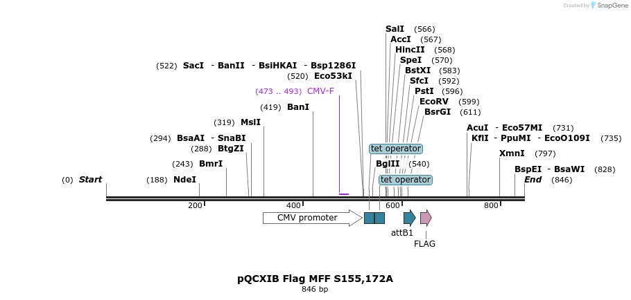 142191_map