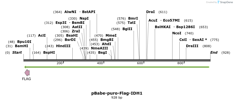 142192_map
